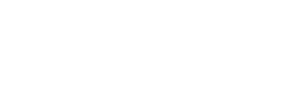 Tampa Bay Florida logo