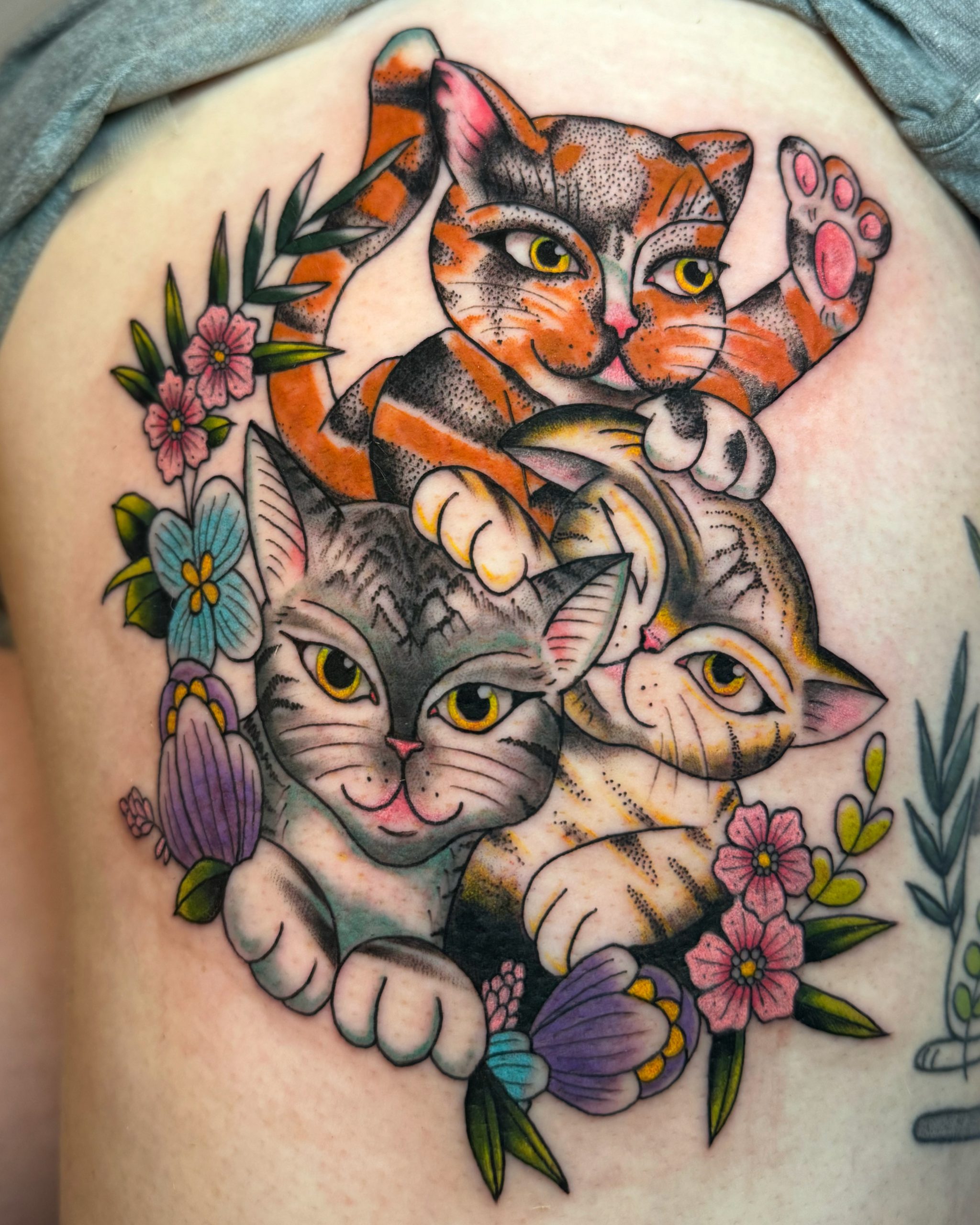 2241B6BB-C6C5-4D51-858B-6835B8860566