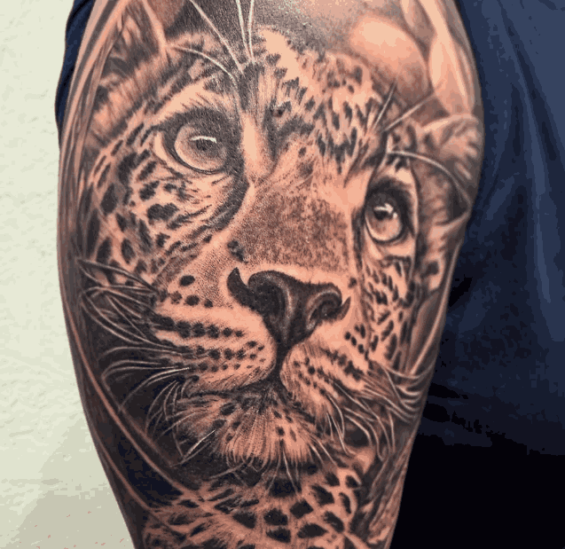 Jay Mondra