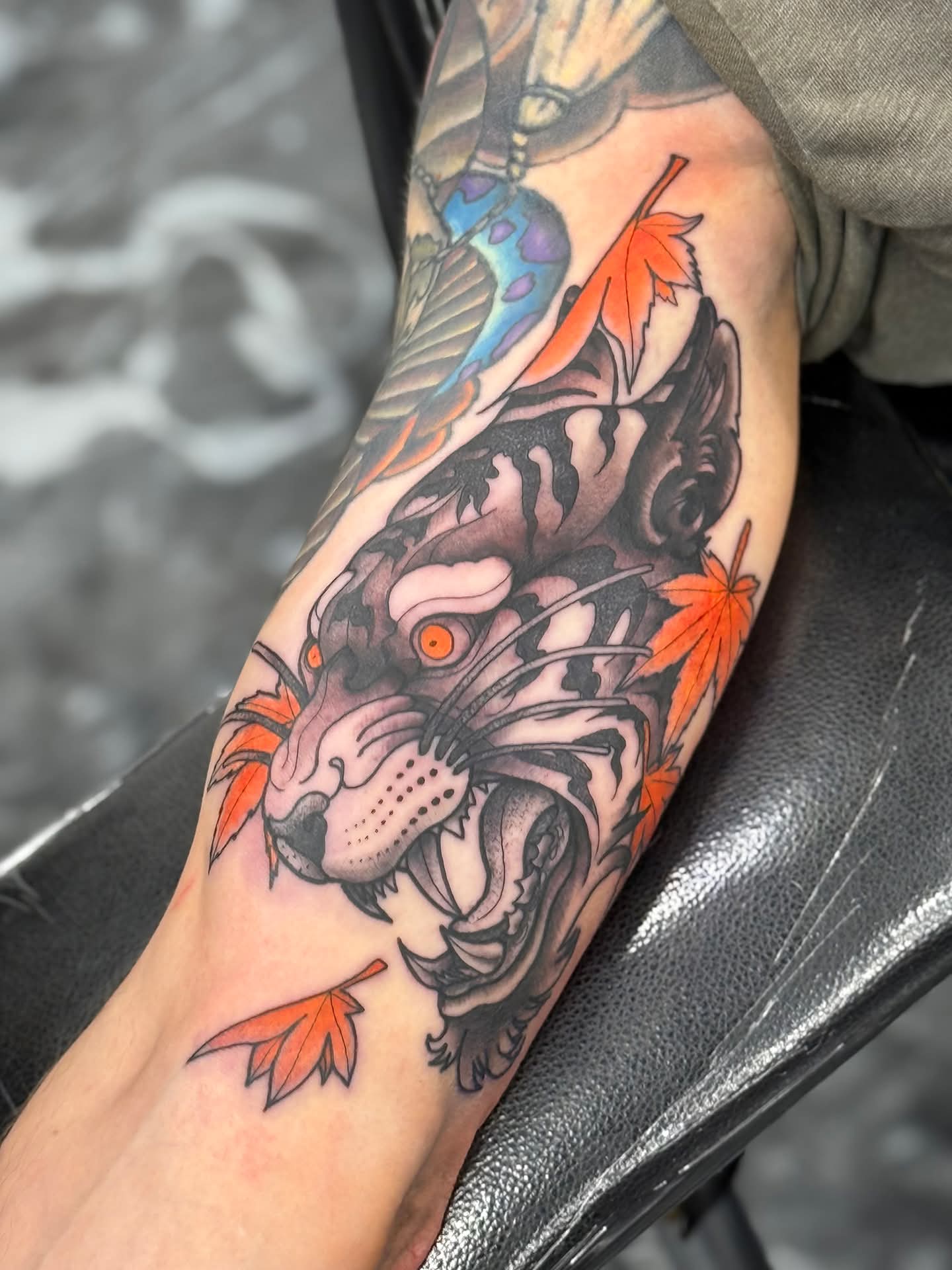 b68227647f4db4deb20f5d1daaea3ca5