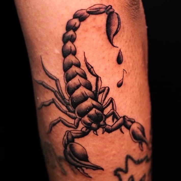 07862fe3_input_9_kxiUWIMvGXrhVzIt_o_1jesn9pfniho1kt5md05p1leqp