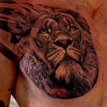 110ff420_input_9_54mkj7at9QdeFf7H_o_1jfghroqf10ld5d73f31kkmp4tp