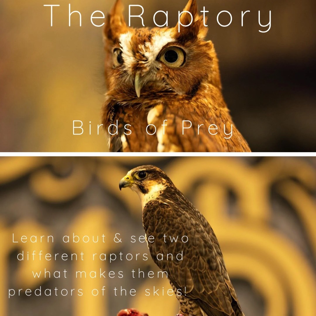 6703ae44-59c4-46f8-92b5-f7f866d00514