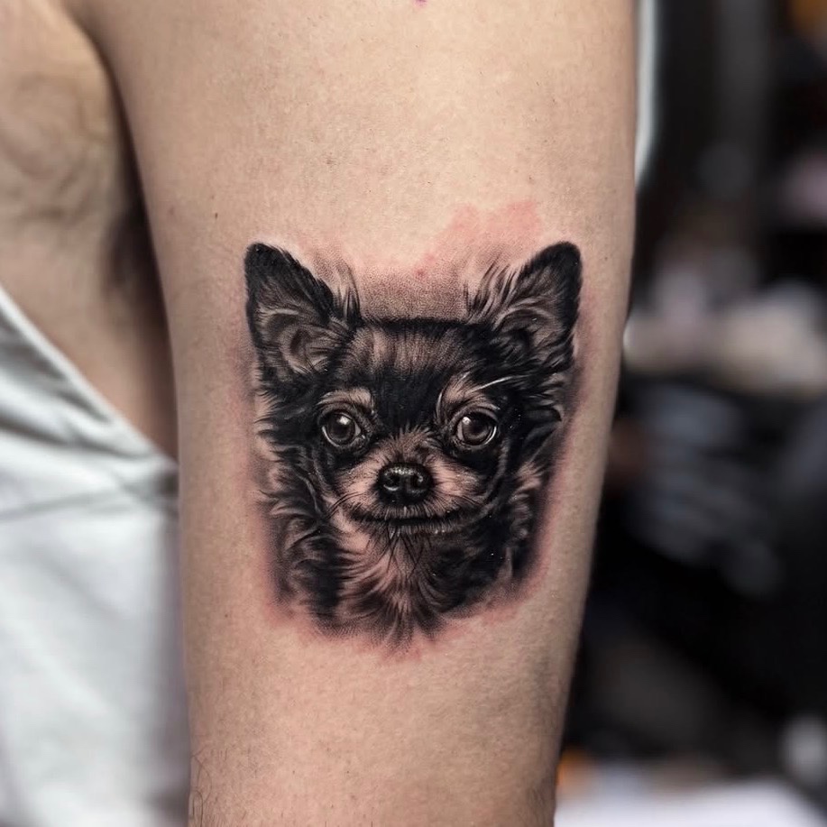 fe3b87f0_input_9_dy33jQOOdFL67gCq_o_1jf1qij7qptmn2k18ul19ue8qvp