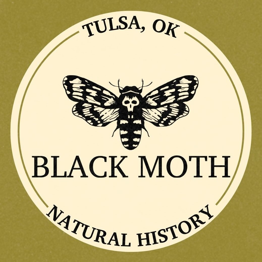 Black Moth logo - Natural History - Tulsa, OK