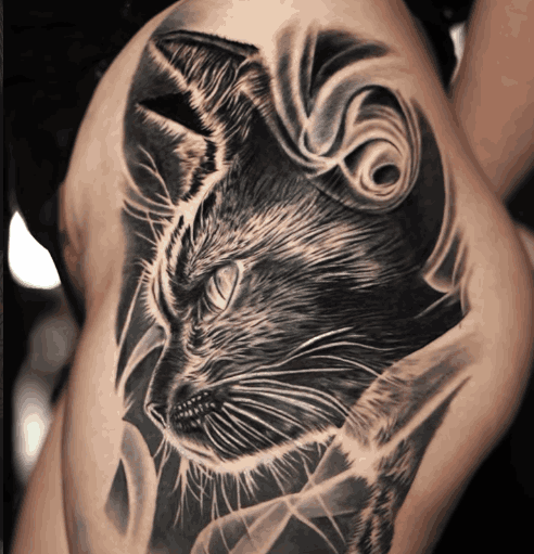 art.picanes