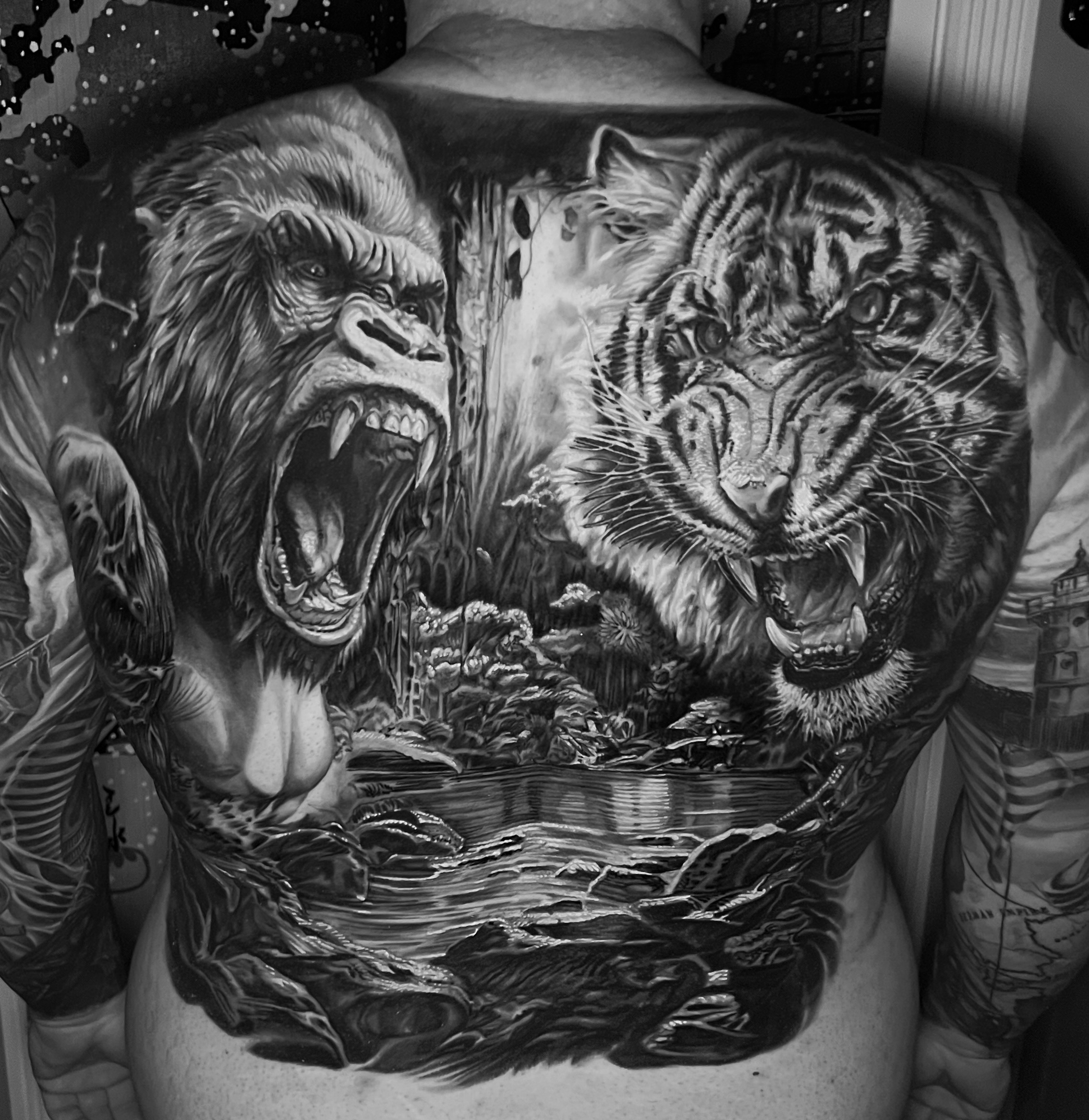 Gorilla-Tiger-Back_01