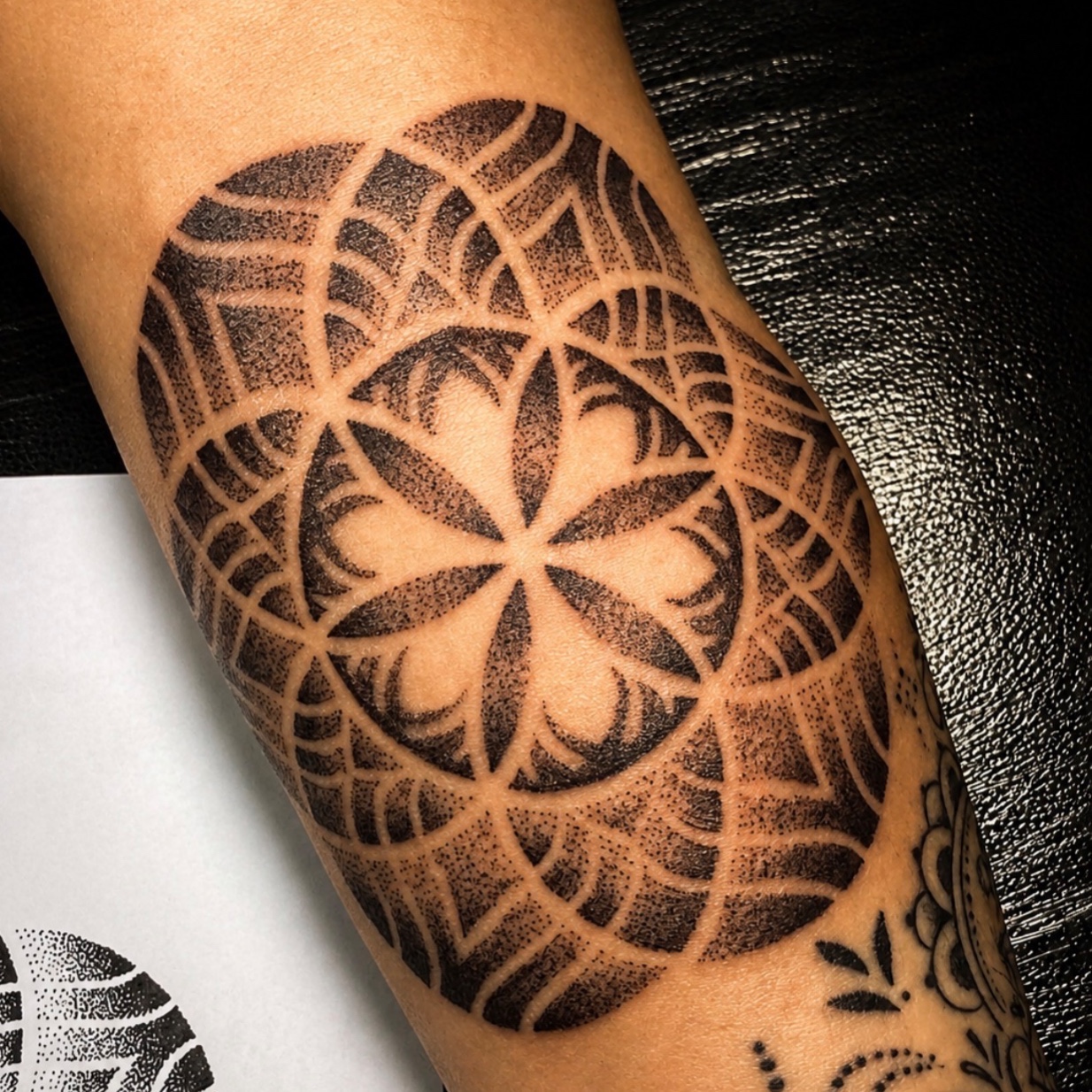 IMG_8565