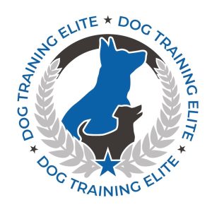 5dd15102_input_19_YMUazeQvrAx6zop5_o_1jhm6uon2ogb1qq1b2e1veofs218