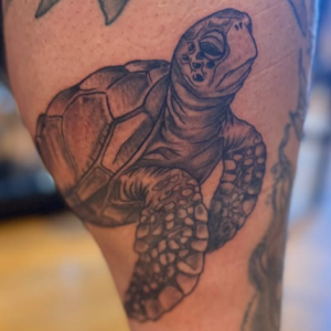 5e30aefa_input_9_3CjixxFhMoFAKqAr_o_1jfgibbq812rp1cem1krg1d281to2p