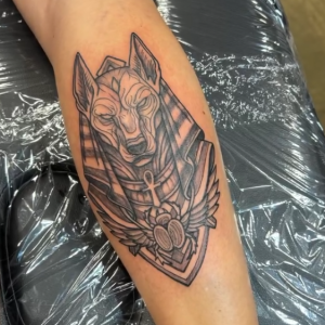 6efd9ff1_input_9_NiidE3Ufy7pnMIKM_o_1jfgha5sa1j1vgln1m96vk379op