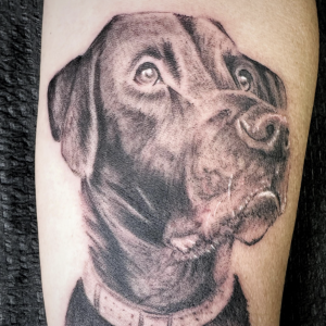 83b4b8f6_input_9_lRnGb9TNBATKov6z_o_1jjabg1l2ab513nb19gqtfh1923p