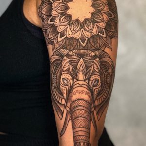 AF23C644-4DAA-4009-84CB-FA9A0431C33B