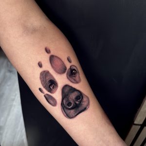 FA3105CD-7D91-407C-ACA5-BCB881B781FA