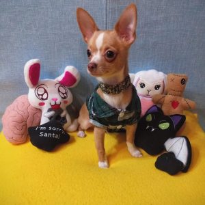 IMG_20211216_163214844-1