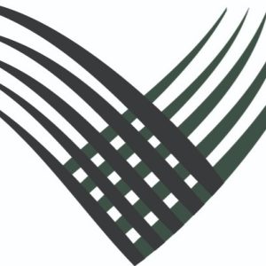 Lumora-New-logo_icon_gray-colors-Green
