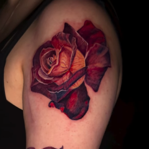 Screenshot-2026-04-29-4.42.19-PM