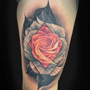 a8b21b7a_input_9_7HMCTUzaaTiD9Mk7_o_1jkluucfe1u6019kp19mpavniep