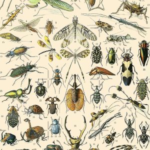 flat750x075f-pad750x1000f8f8f8-1